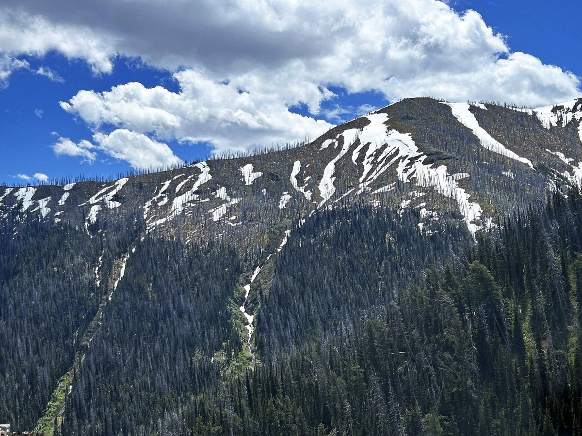 monte neve