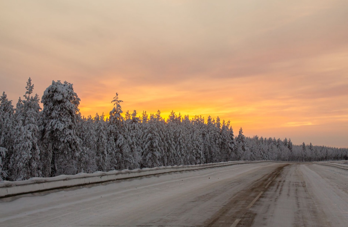 pipa di petrolio in taiga