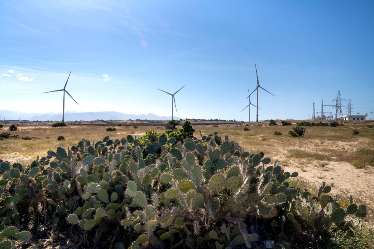turbina eolica in steppe